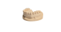 Preview: dentona 3D Druckharz