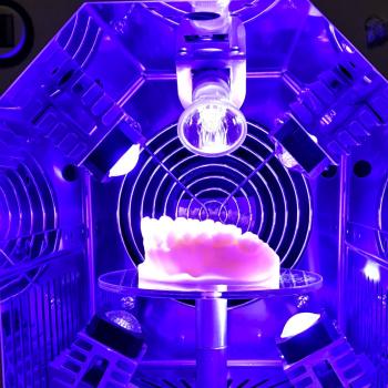 Max Steam MS MULTIACT UV Polymerization