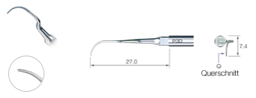 NSK Varios ZEG-Spitze P3D