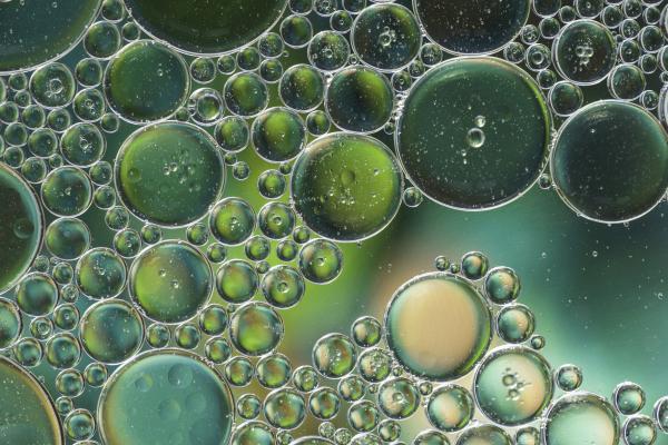 Biofilm Removal from Dental Treatment Units