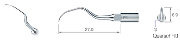 NSK Varios ZEG-Spitze P1